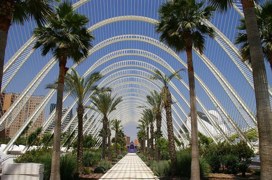 ולנסיה Apartamento Turistico Lux Center מראה חיצוני תמונה