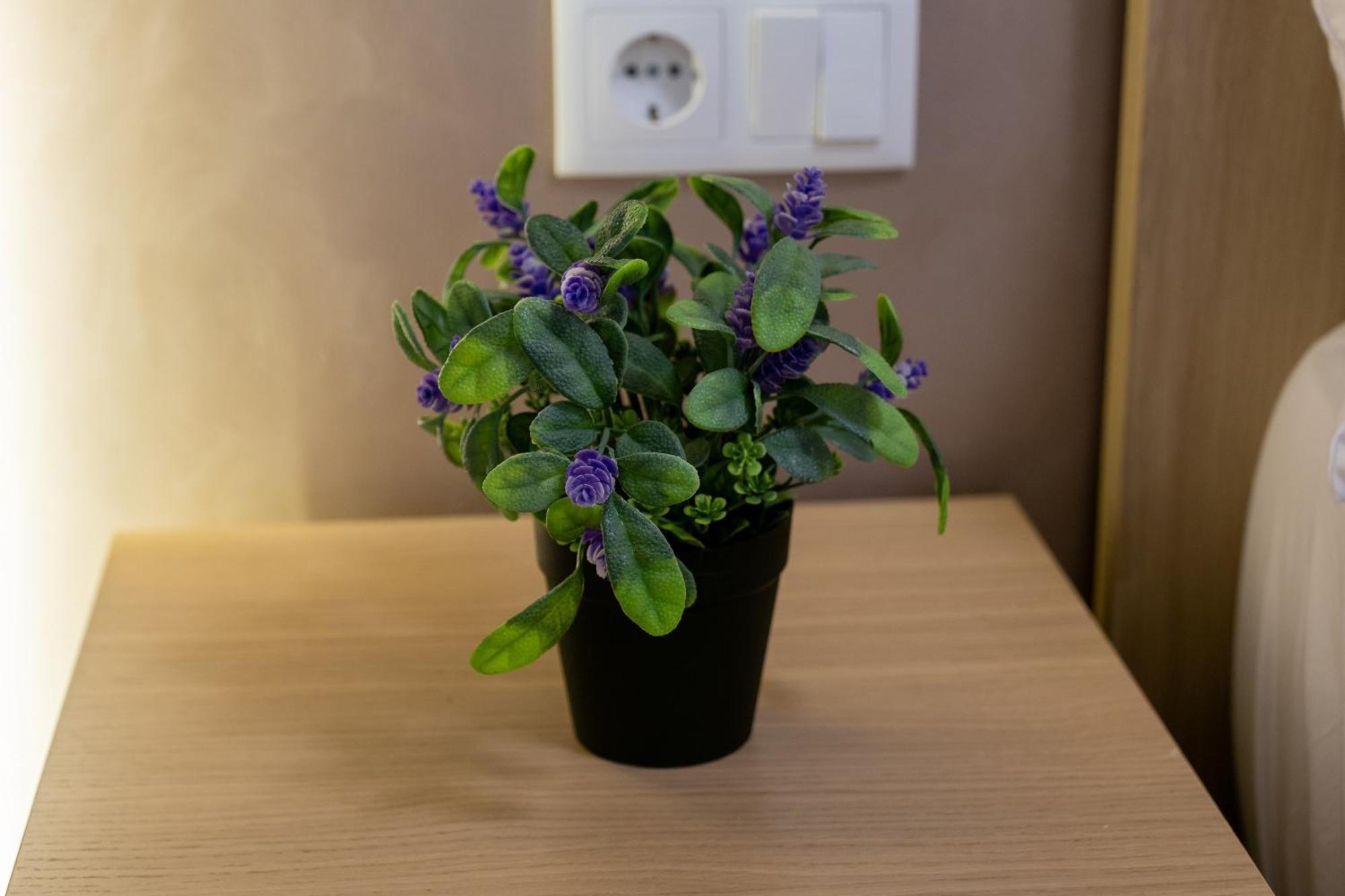 ולנסיה Apartamento Turistico Lux Center מראה חיצוני תמונה