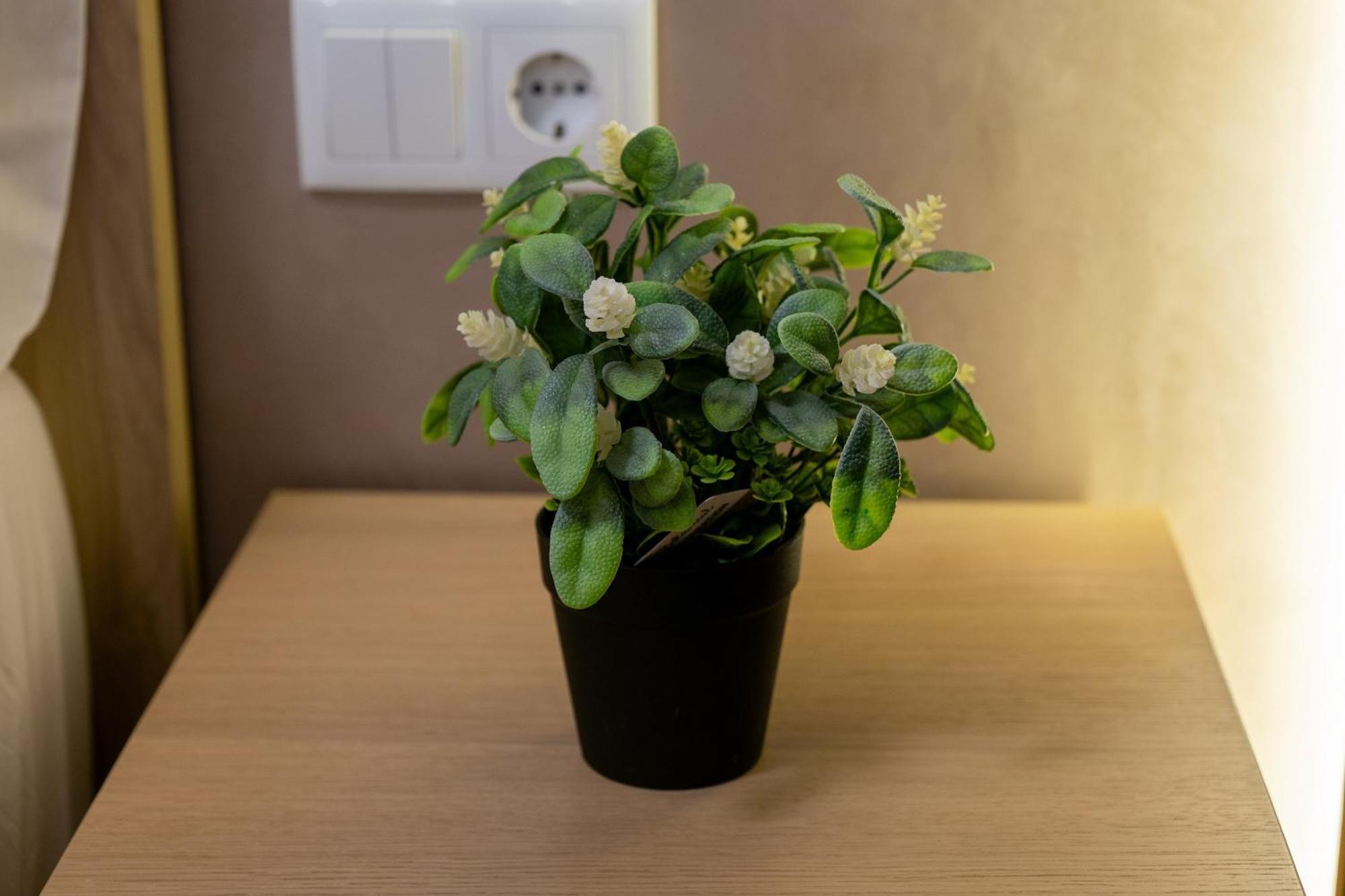 ולנסיה Apartamento Turistico Lux Center מראה חיצוני תמונה